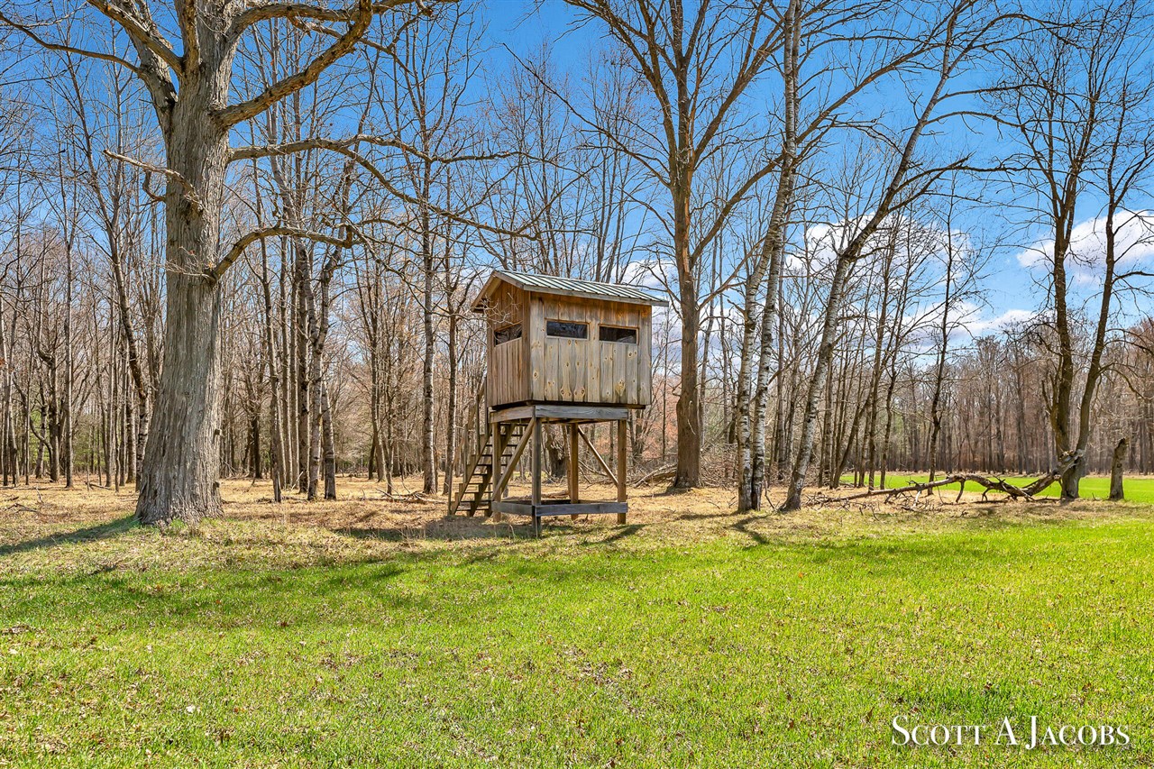 1125 Chaput Drive Property Photo 33