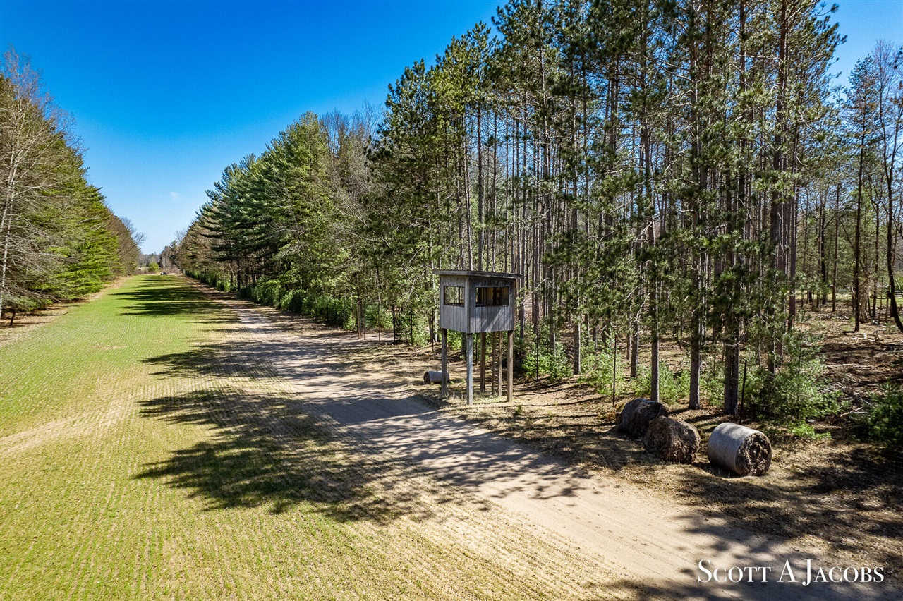 1125 Chaput Drive Property Photo 35
