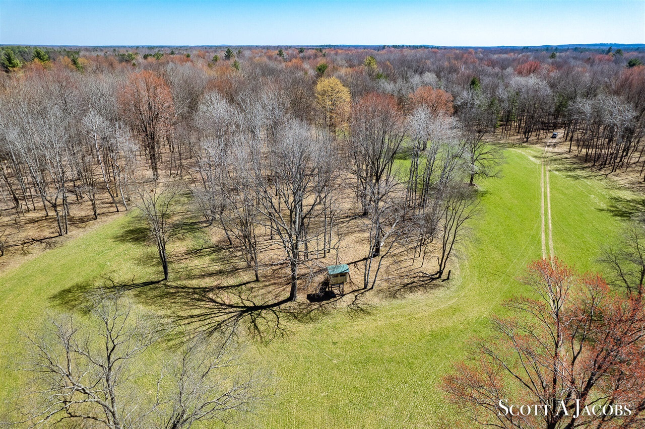 1125 Chaput Drive Property Photo 39