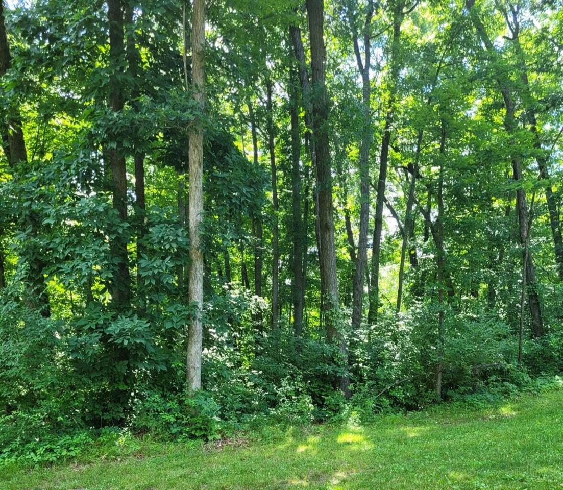11839 Vicary Road Property Photo 2