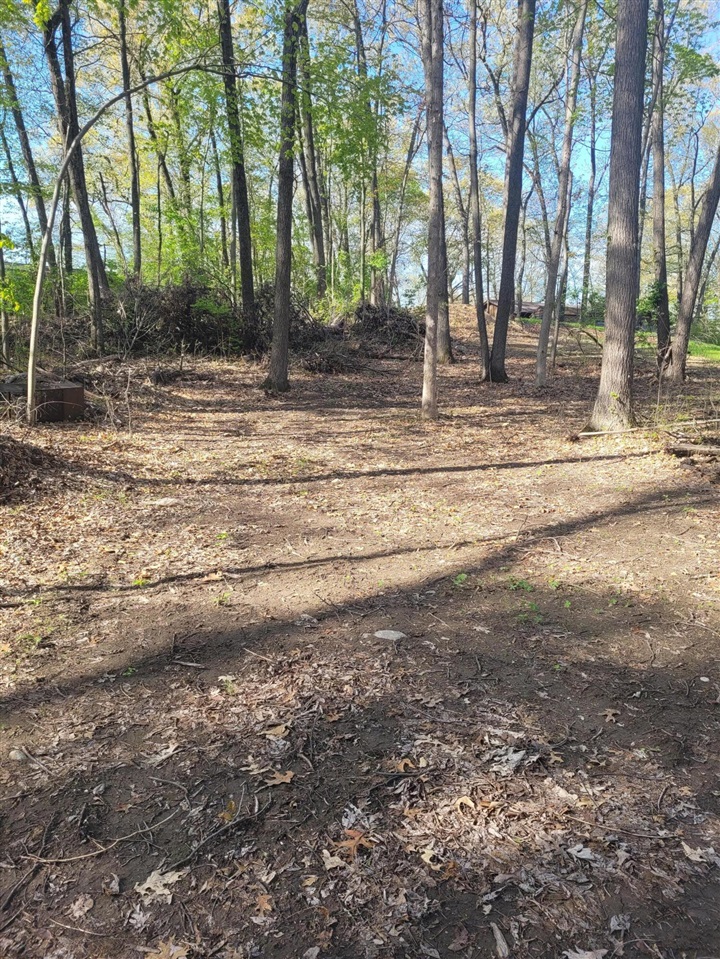 11839 Vicary Road Property Photo 4