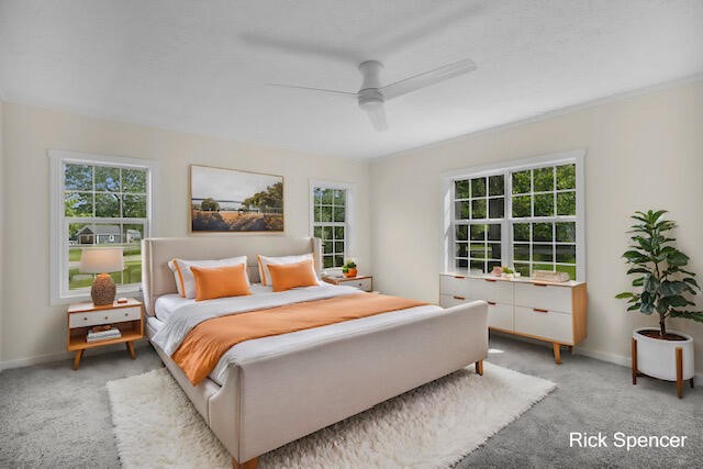 3321 Babylon Road Property Photo 19