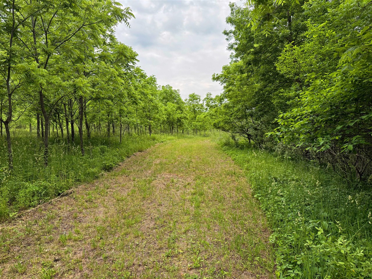 115 40th Street Property Photo 7