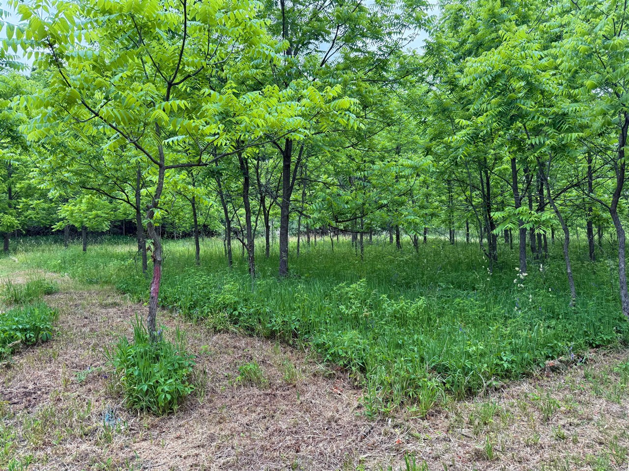 115 40th Street Property Photo 8
