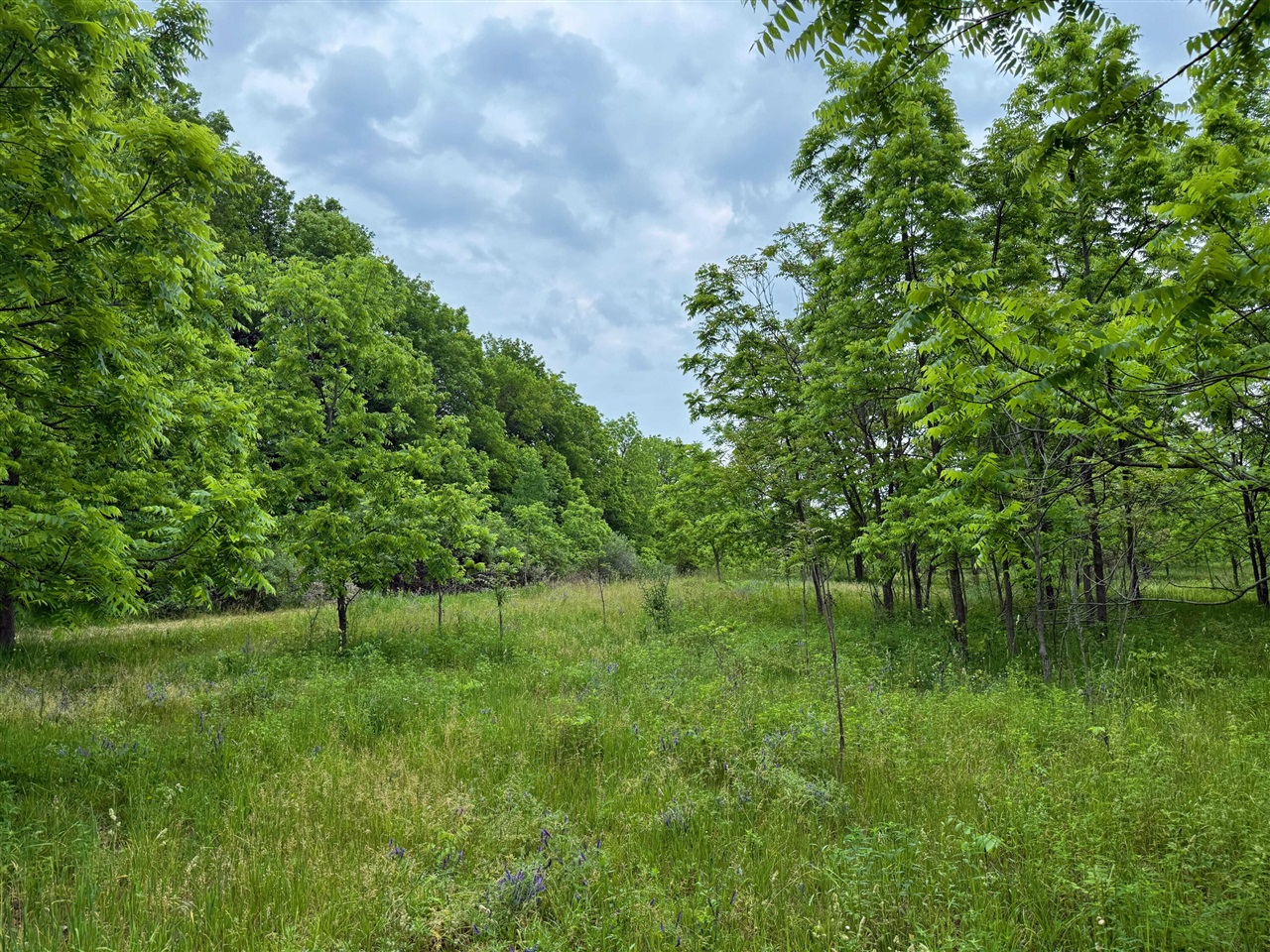 115 40th Street Property Photo 9