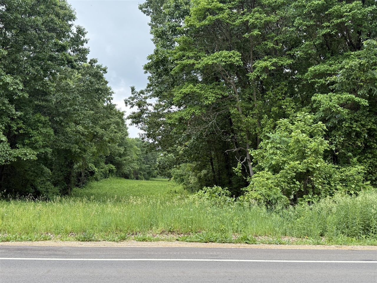 Vl 28 Mile Road Property Photo 5