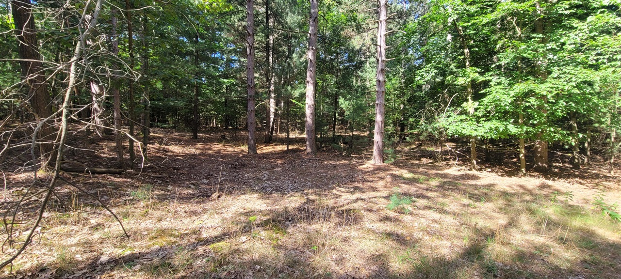 S 32nd Avenue Property Photo 2