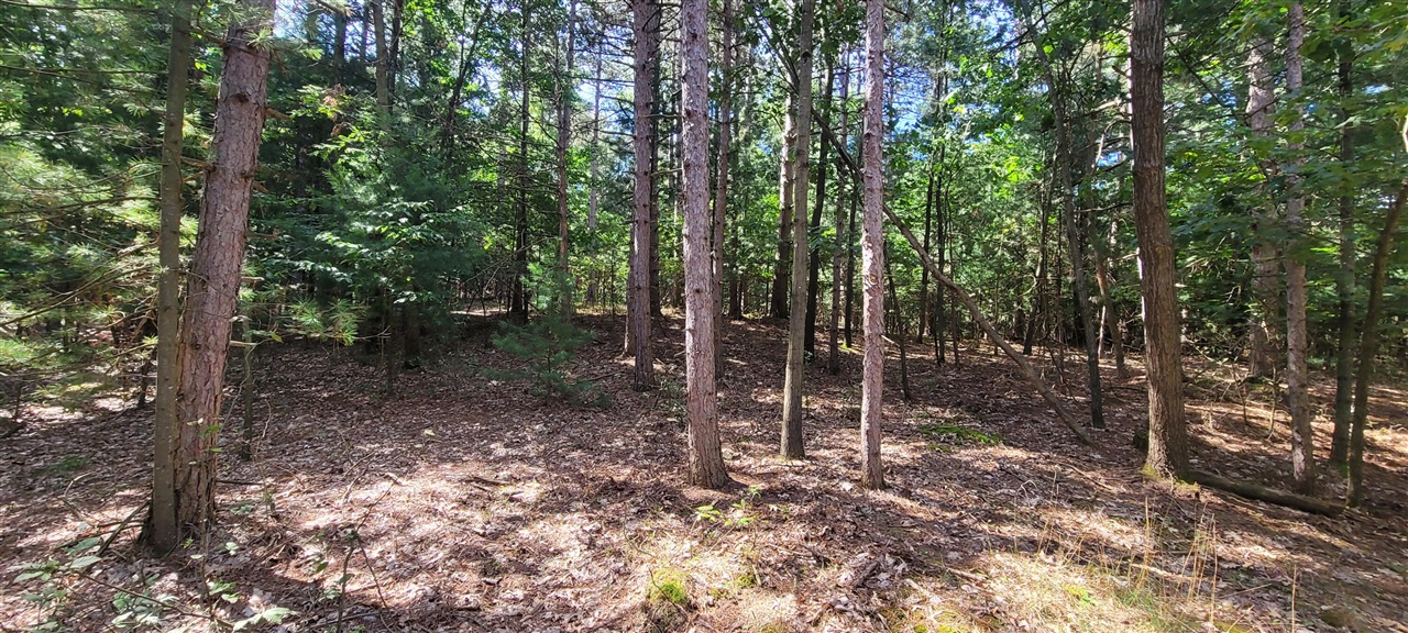 S 32nd Avenue Property Photo 3