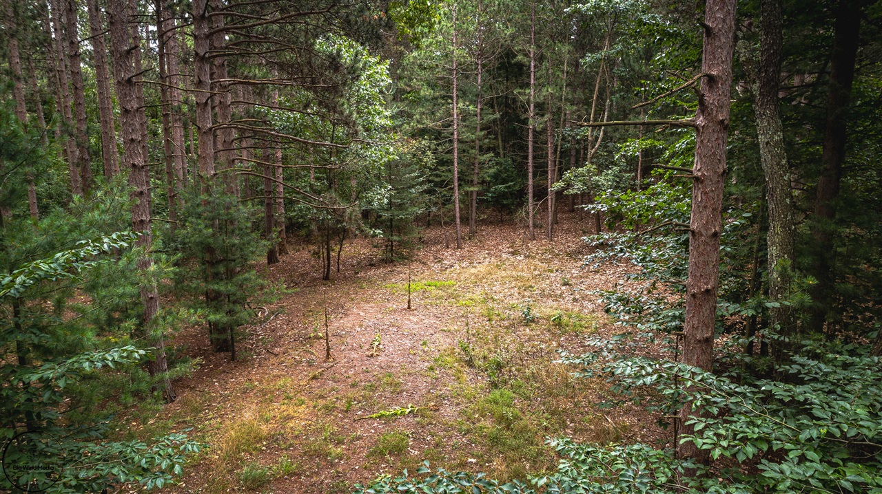 S 32nd Avenue Property Photo 5