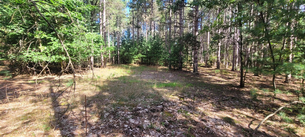 S 32nd Avenue Property Photo 10