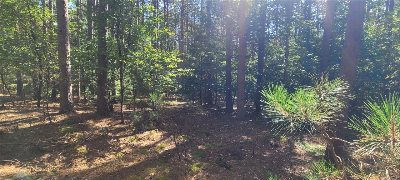 S 32nd Avenue Property Photo 12