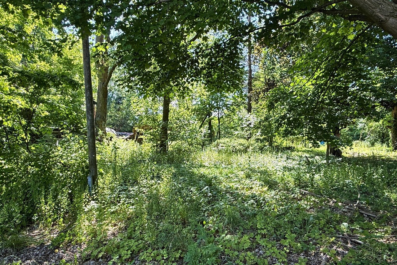 15630 Enzian Property Photo 5