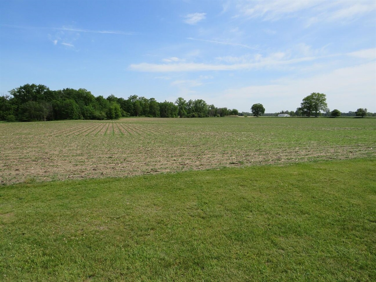 4670 Rescue Road Property Photo 49