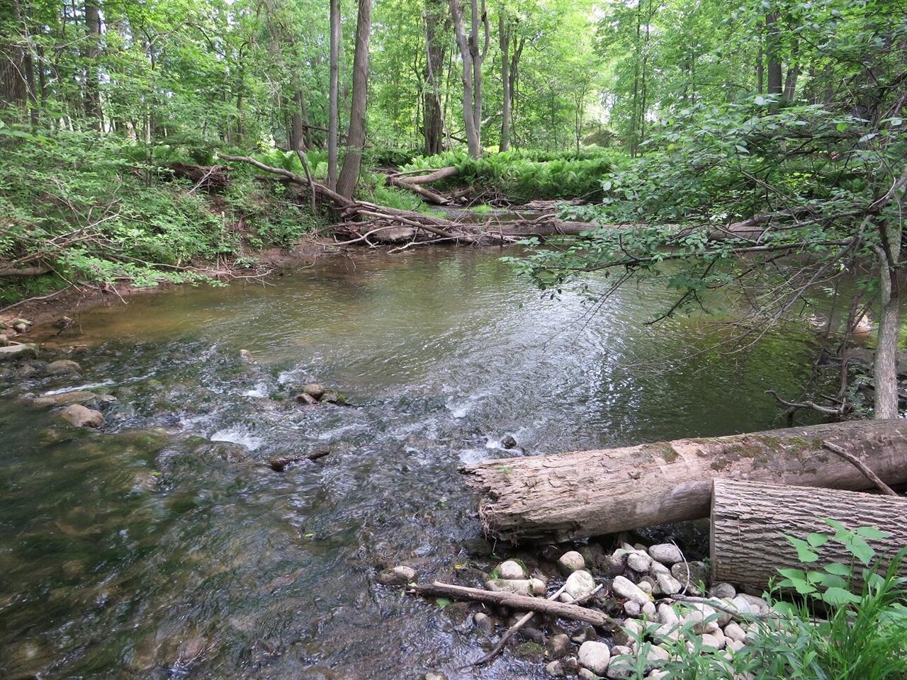 4670 Rescue Road Property Photo 51