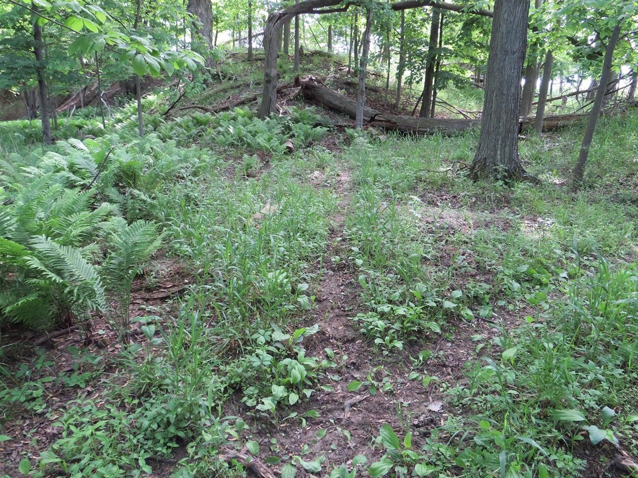 4670 Rescue Road Property Photo 52