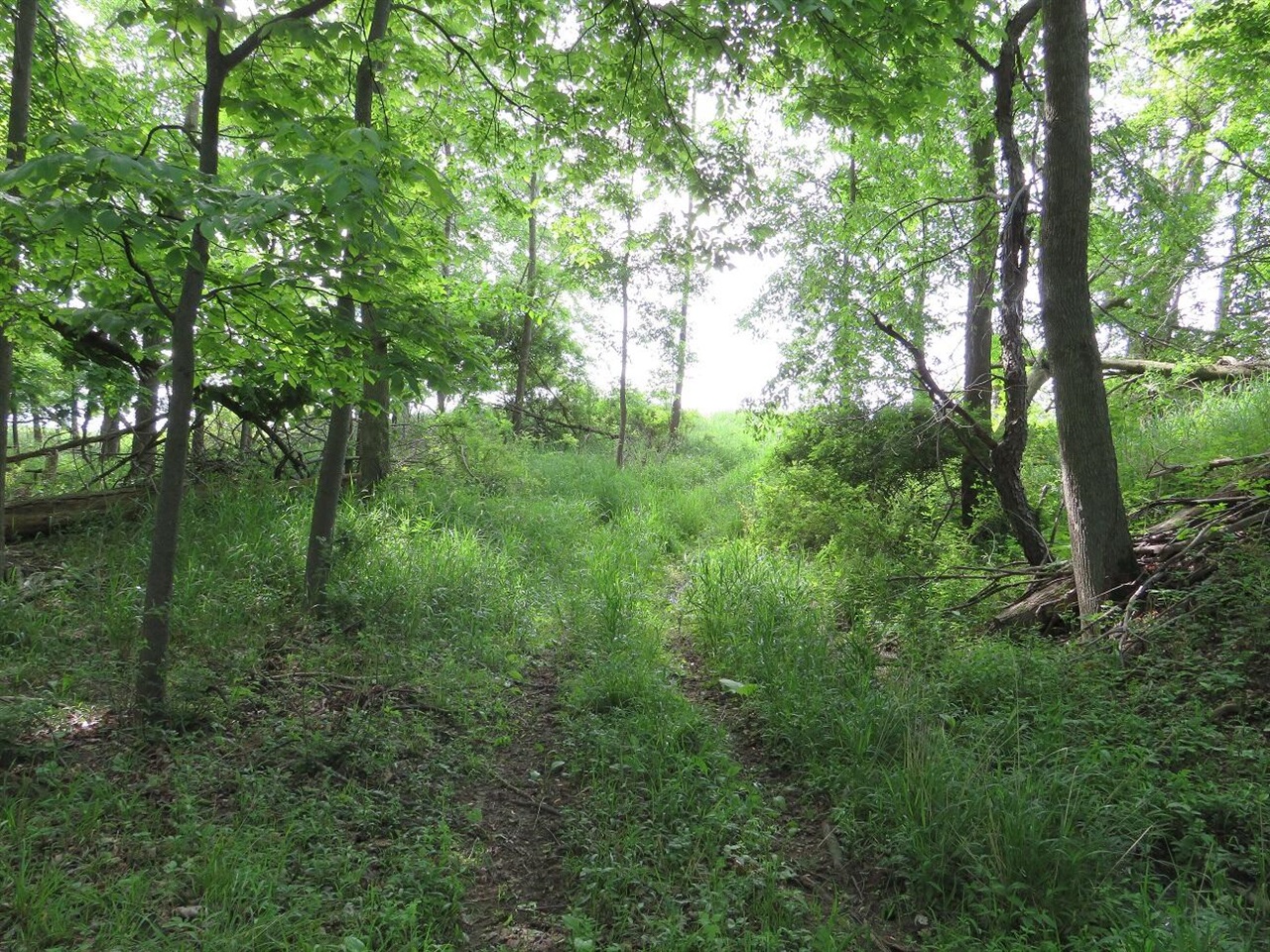4670 Rescue Road Property Photo 53