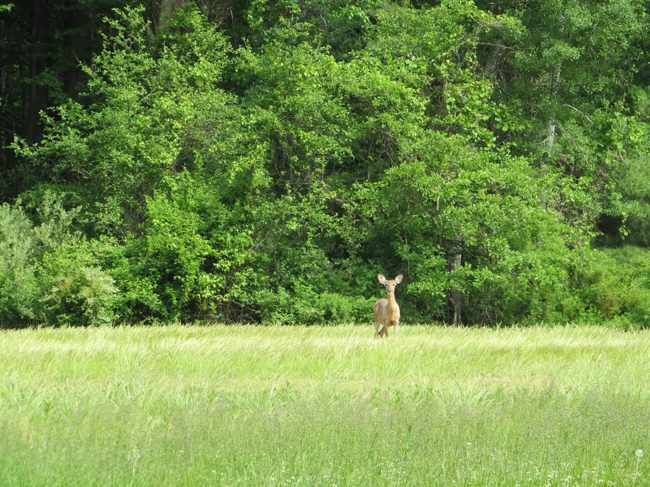 4670 Rescue Road Property Photo 54