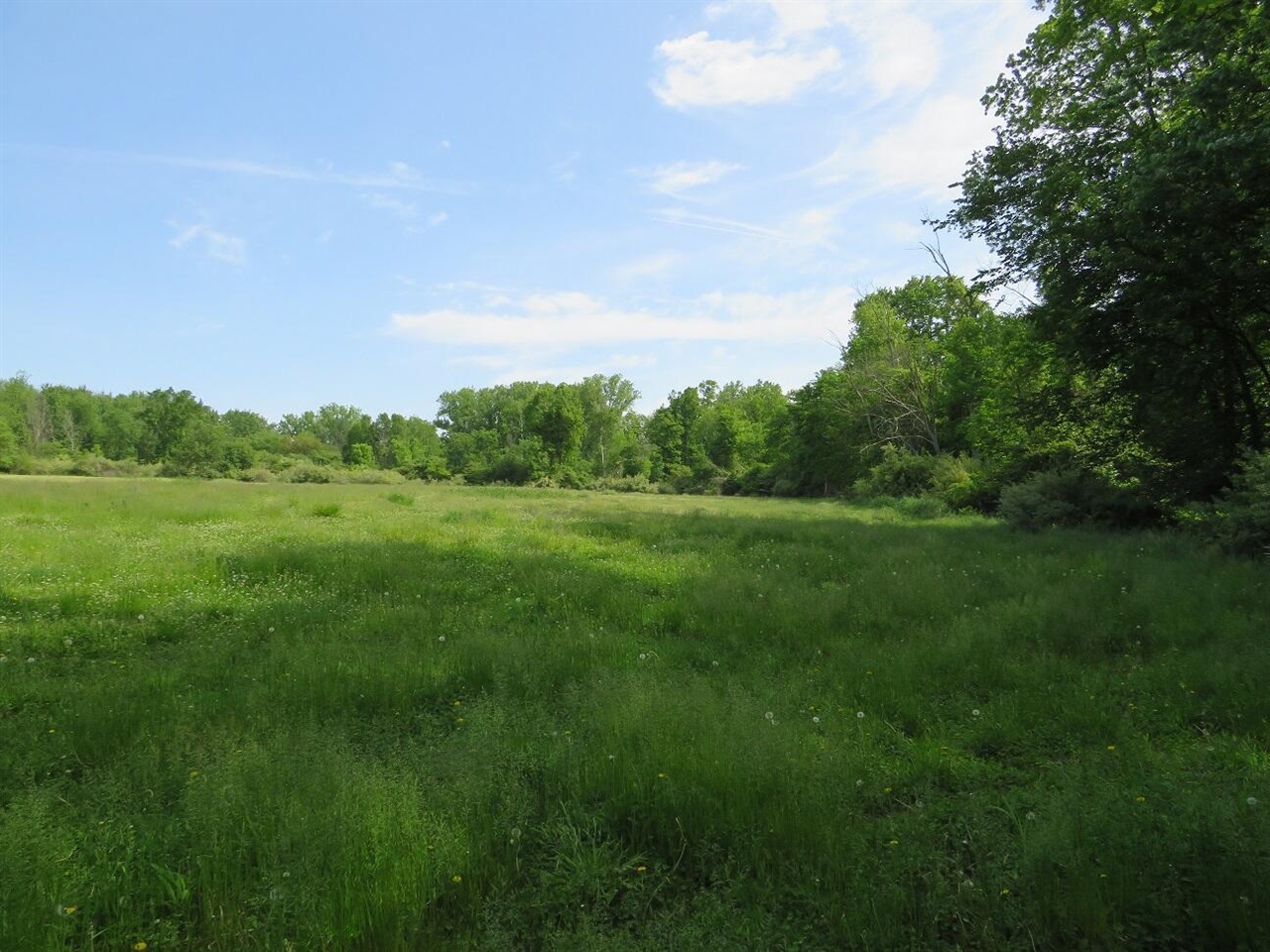 4670 Rescue Road Property Photo 55