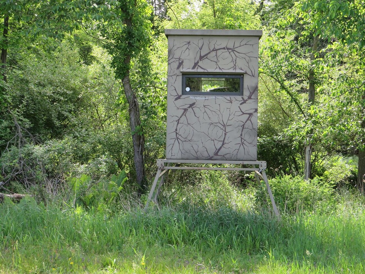 4670 Rescue Road Property Photo 56