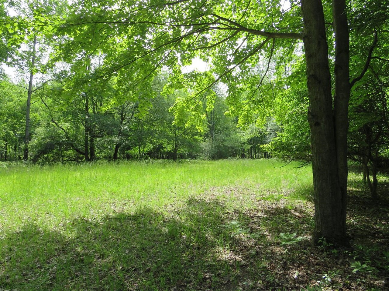 4670 Rescue Road Property Photo 57