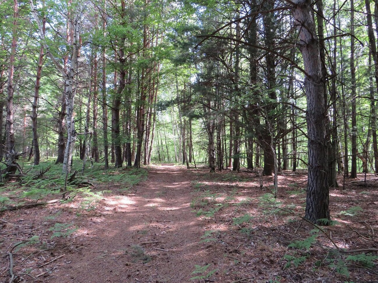 4670 Rescue Road Property Photo 58