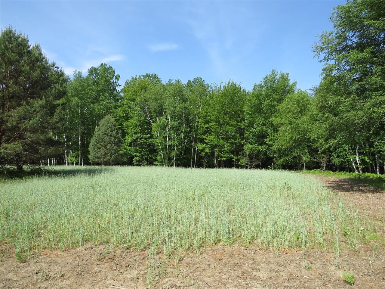 4670 Rescue Road Property Photo 59