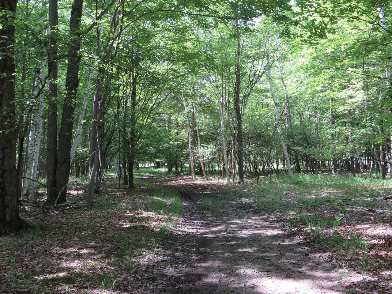 4670 Rescue Road Property Photo 61