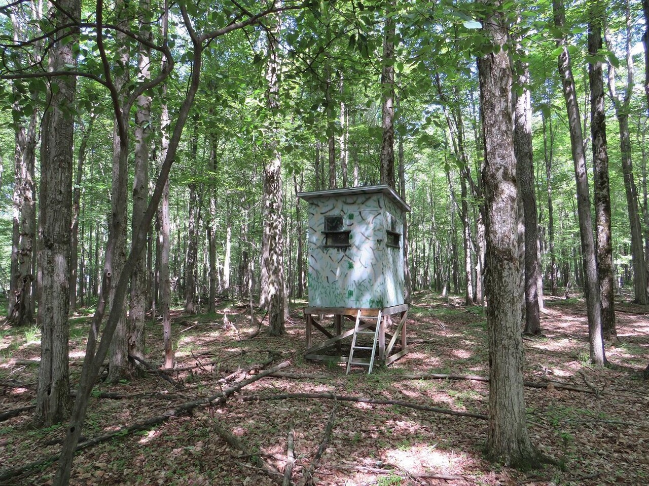 4670 Rescue Road Property Photo 63