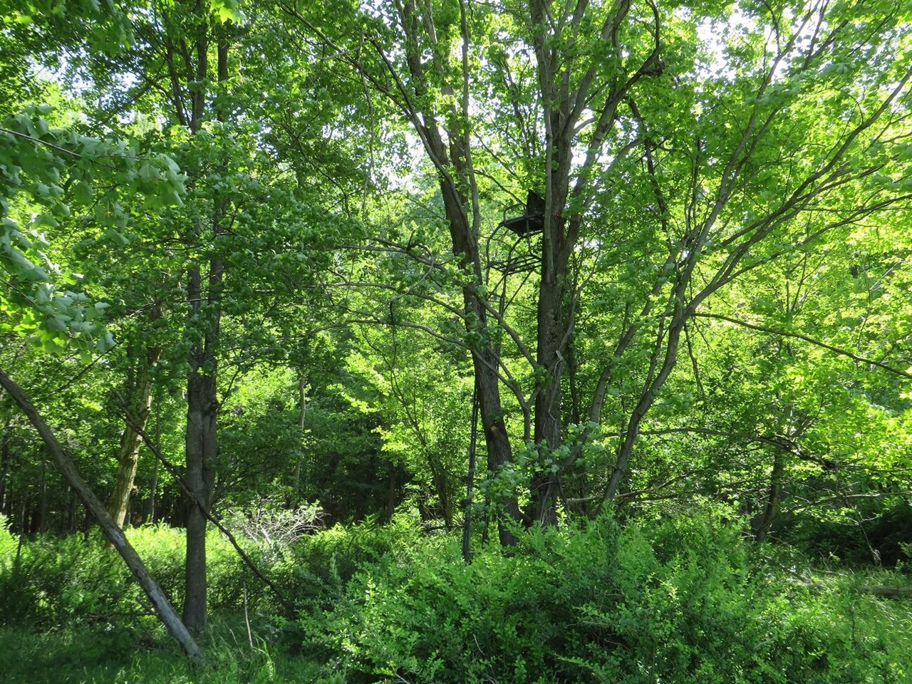 4670 Rescue Road Property Photo 64