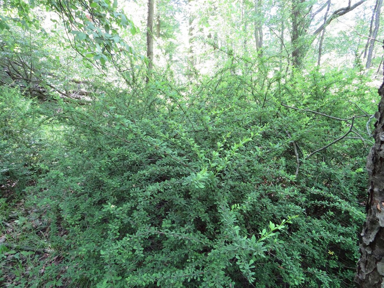 4670 Rescue Road Property Photo 66