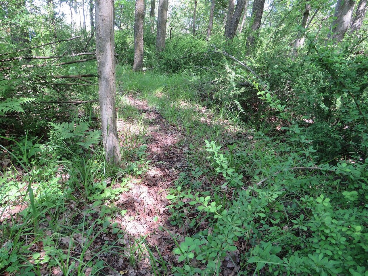4670 Rescue Road Property Photo 67