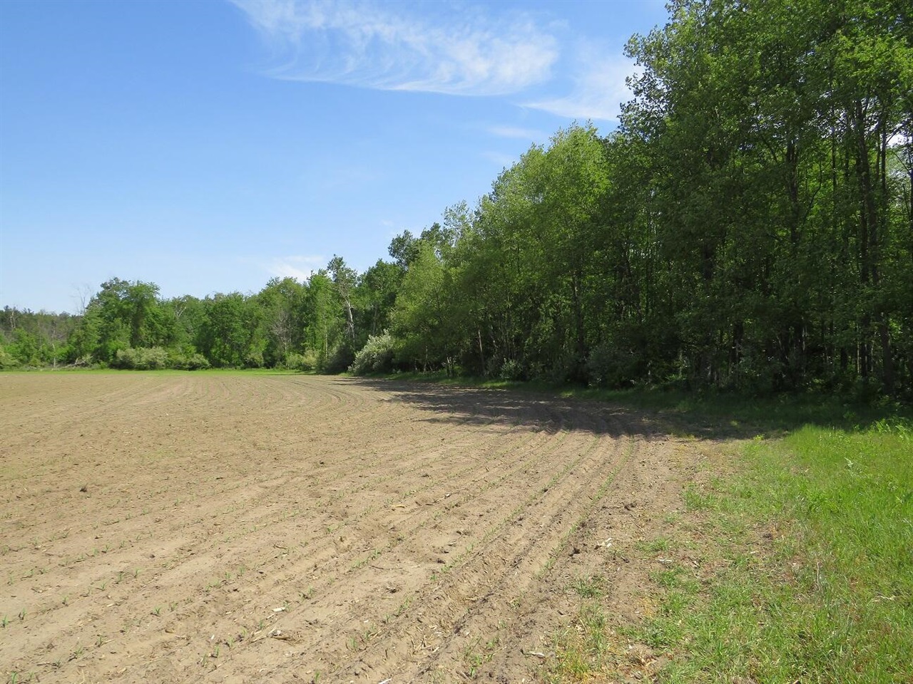 4670 Rescue Road Property Photo 68