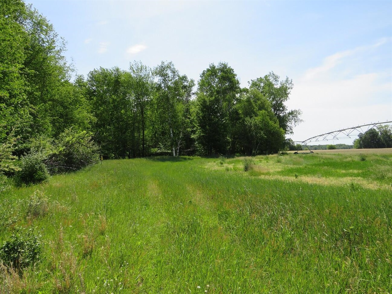 4670 Rescue Road Property Photo 69