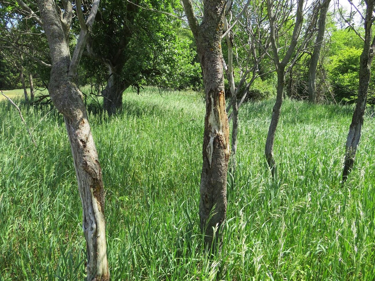 4670 Rescue Road Property Photo 71