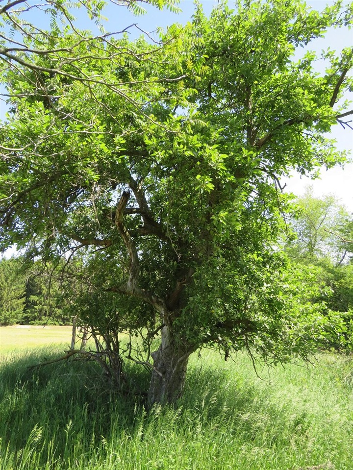 4670 Rescue Road Property Photo 72