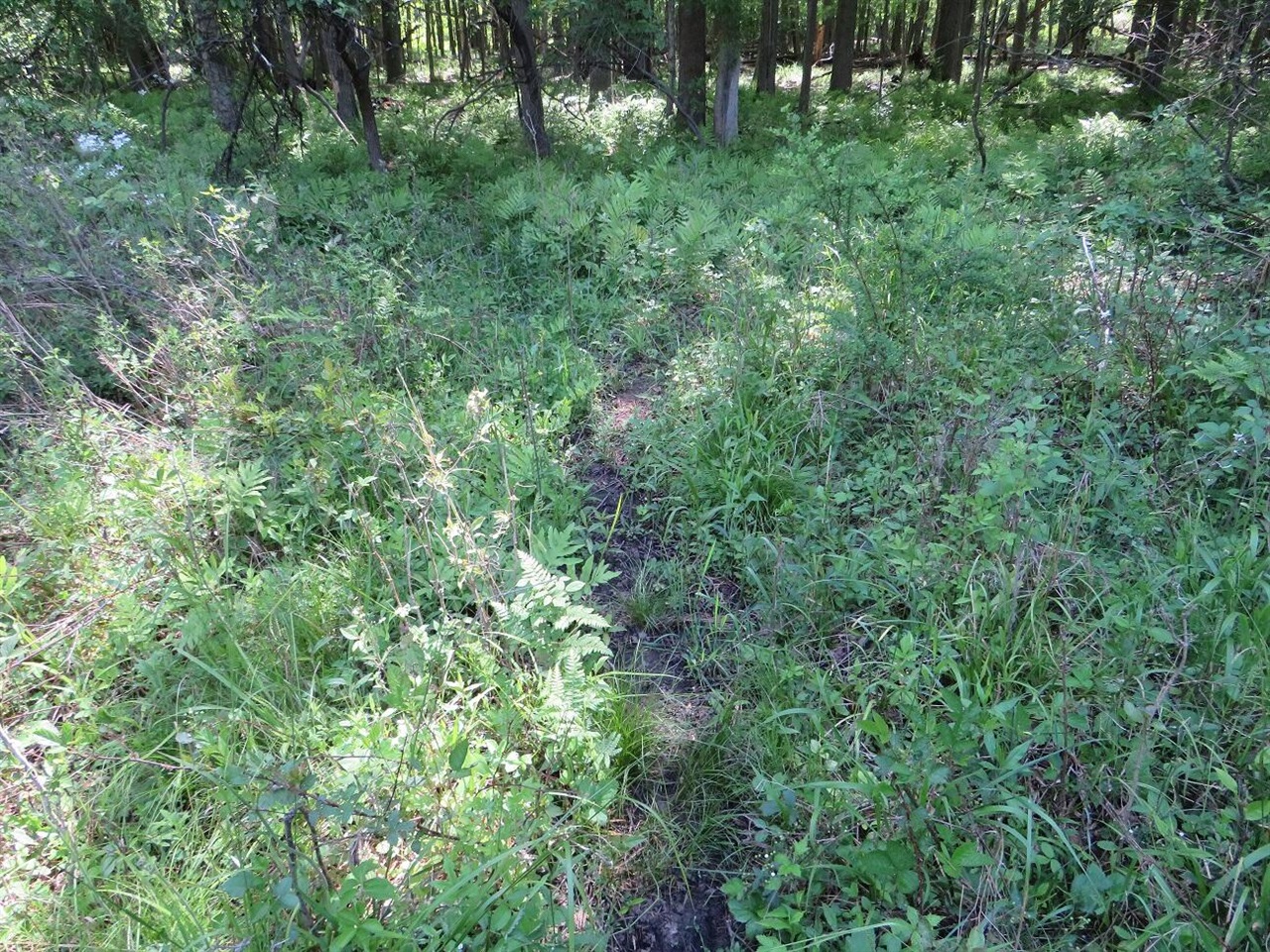 4670 Rescue Road Property Photo 75