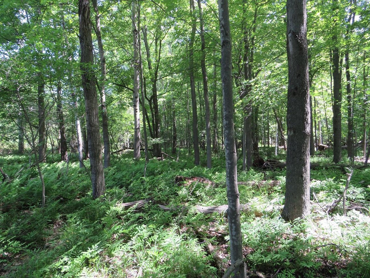4670 Rescue Road Property Photo 76