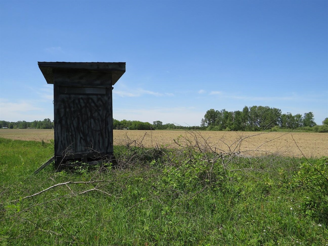 4670 Rescue Road Property Photo 77