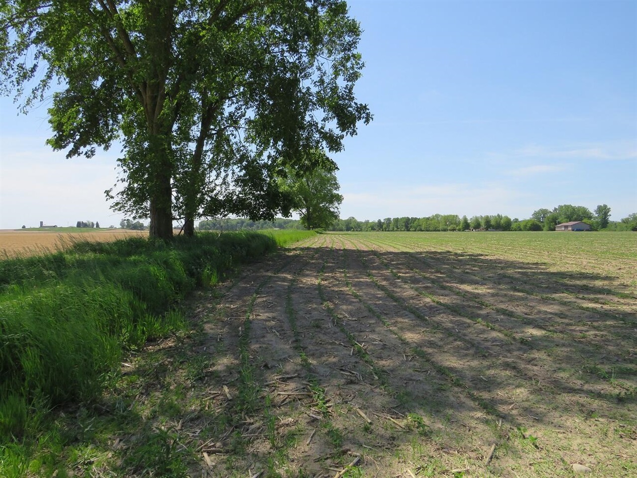 4670 Rescue Road Property Photo 78