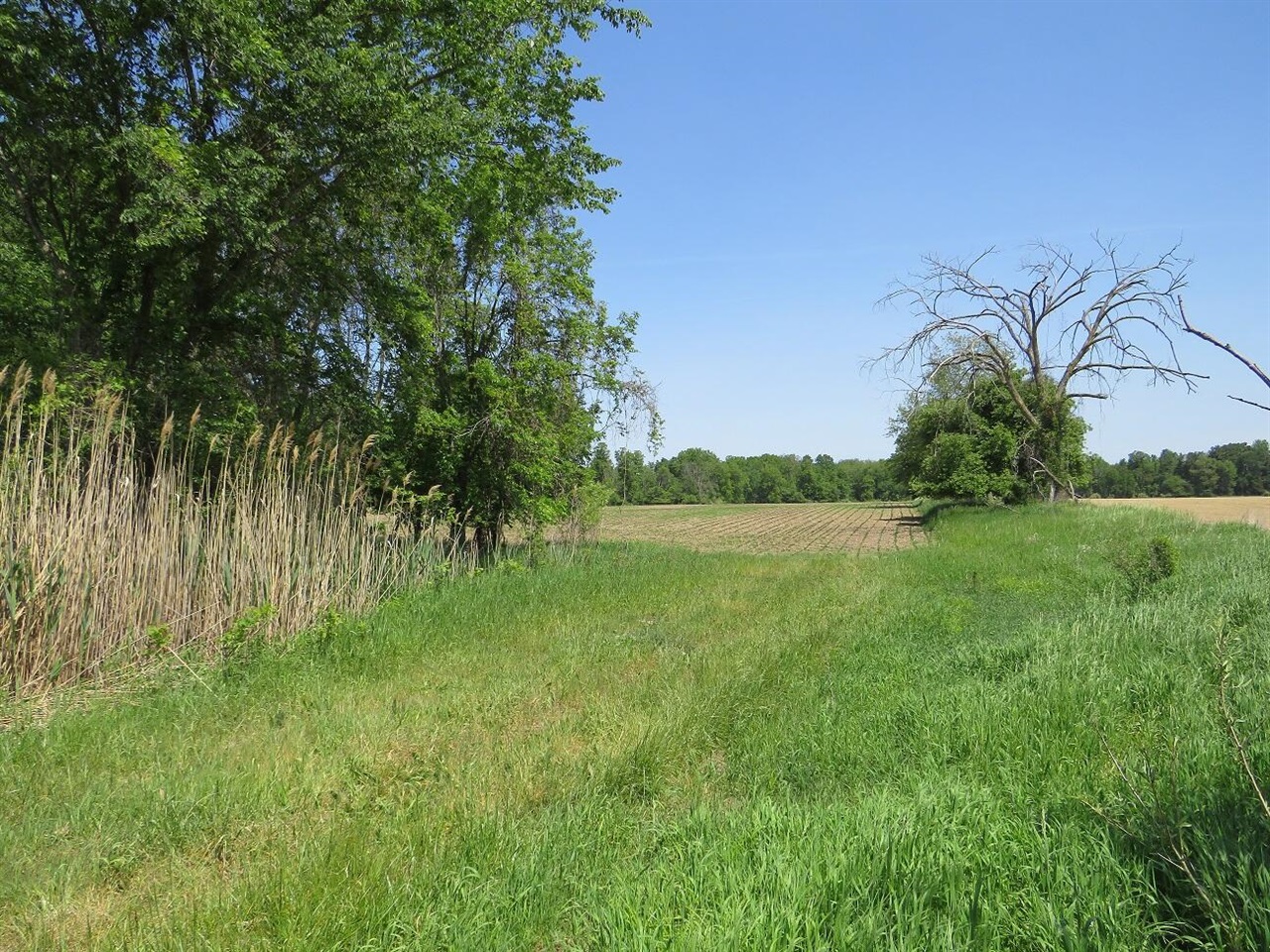 4670 Rescue Road Property Photo 79