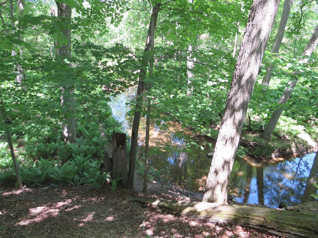 4670 Rescue Road Property Photo 81