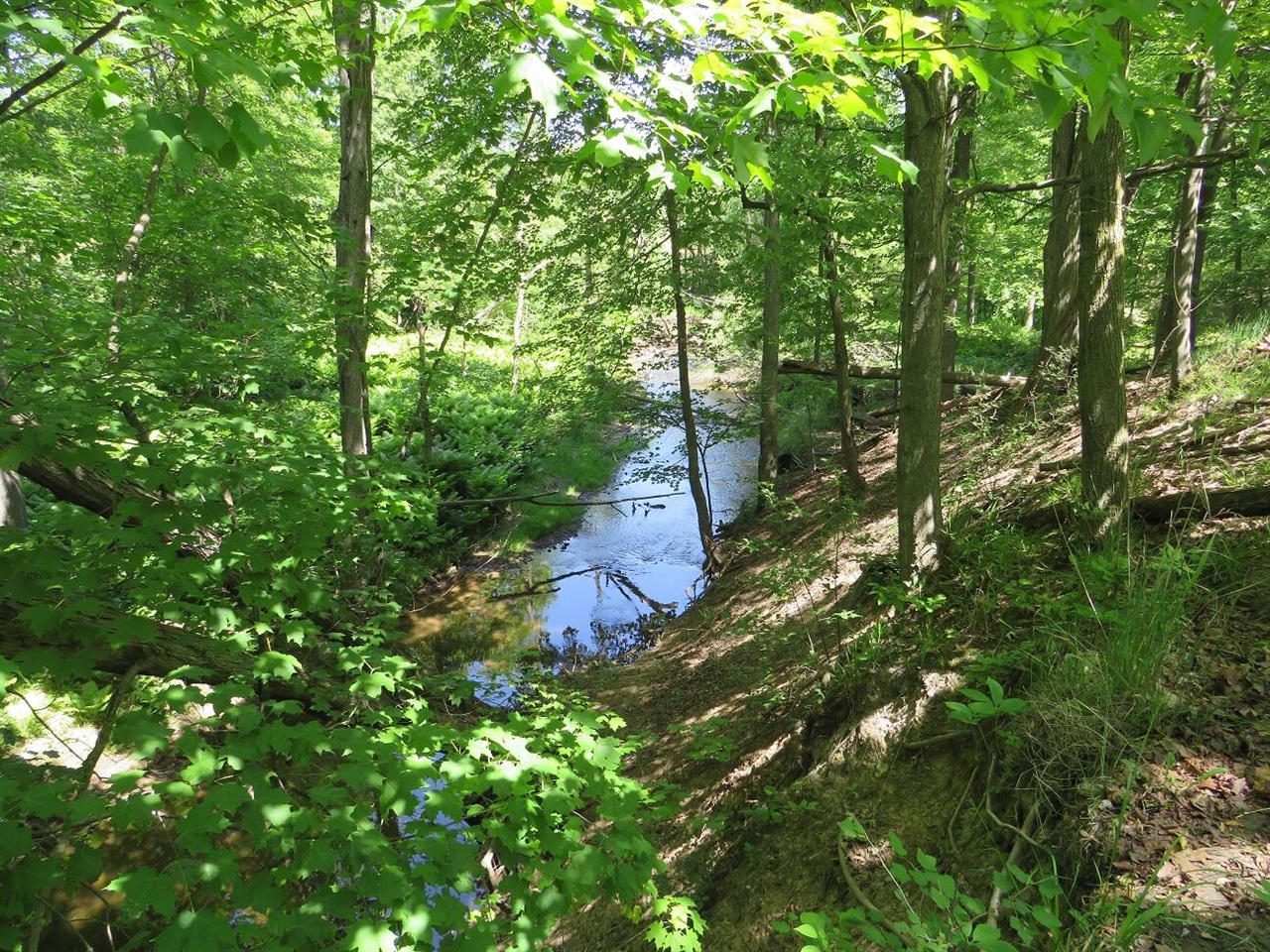 4670 Rescue Road Property Photo 82