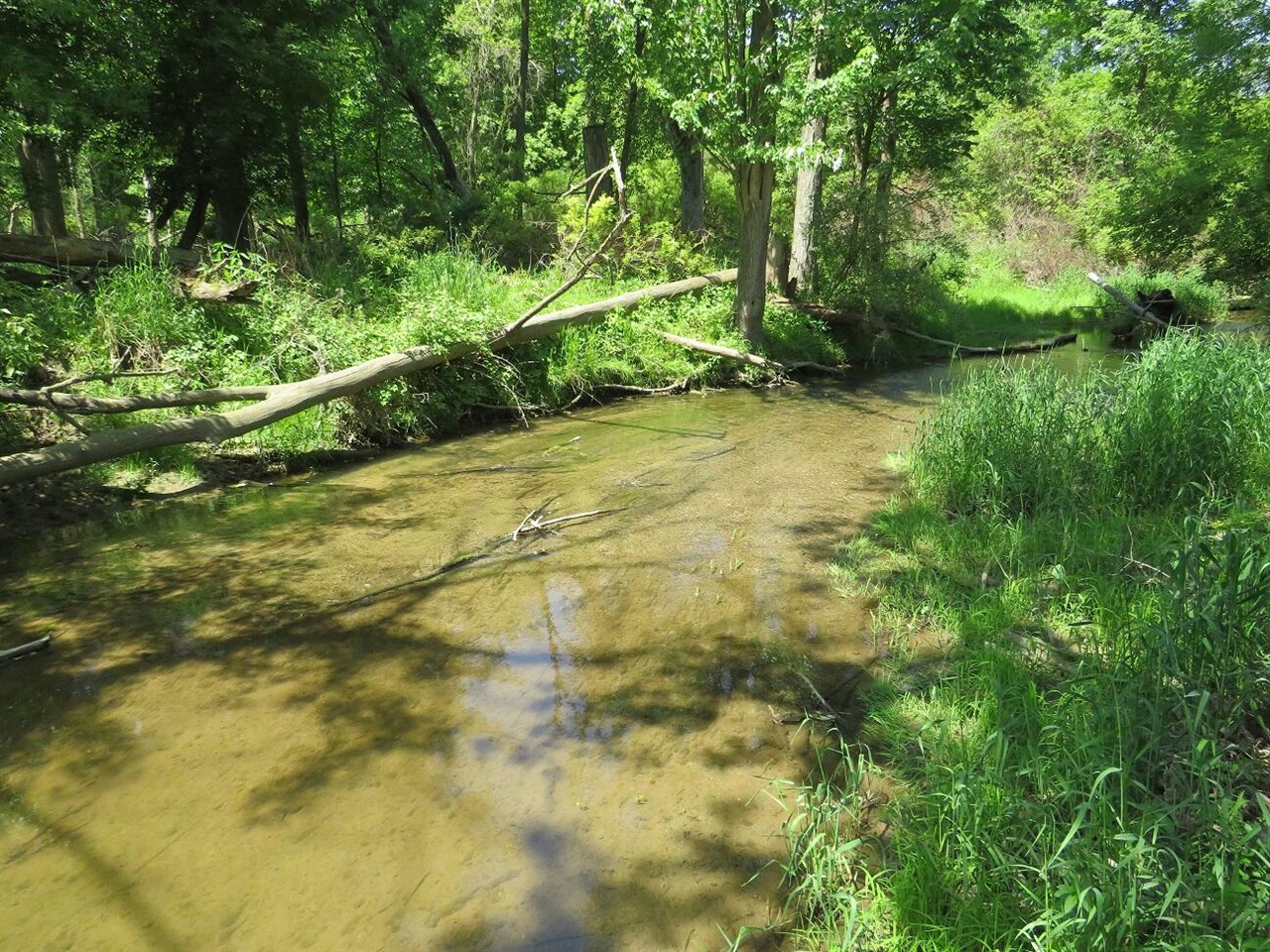 4670 Rescue Road Property Photo 85