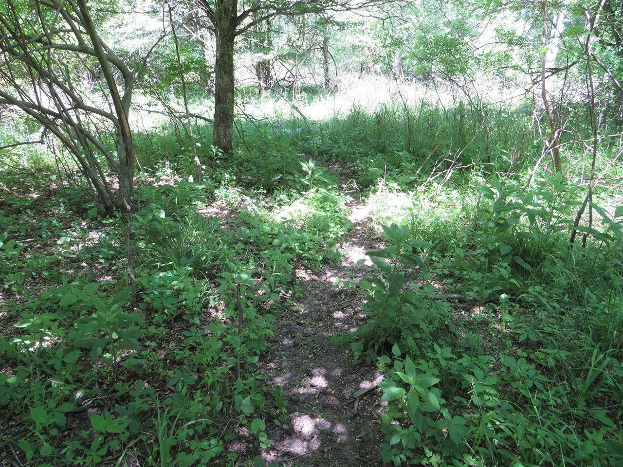 4670 Rescue Road Property Photo 87