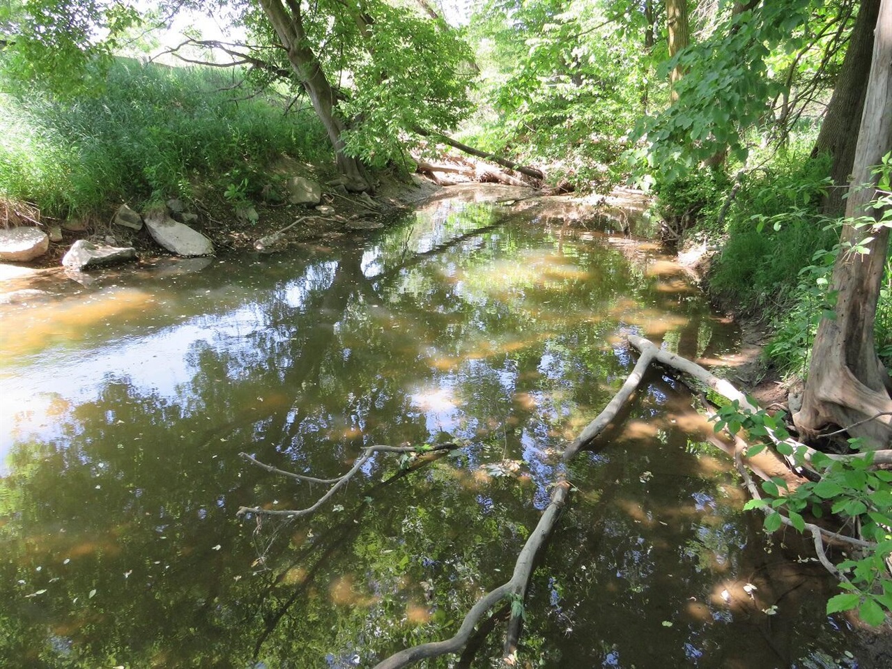 4670 Rescue Road Property Photo 88