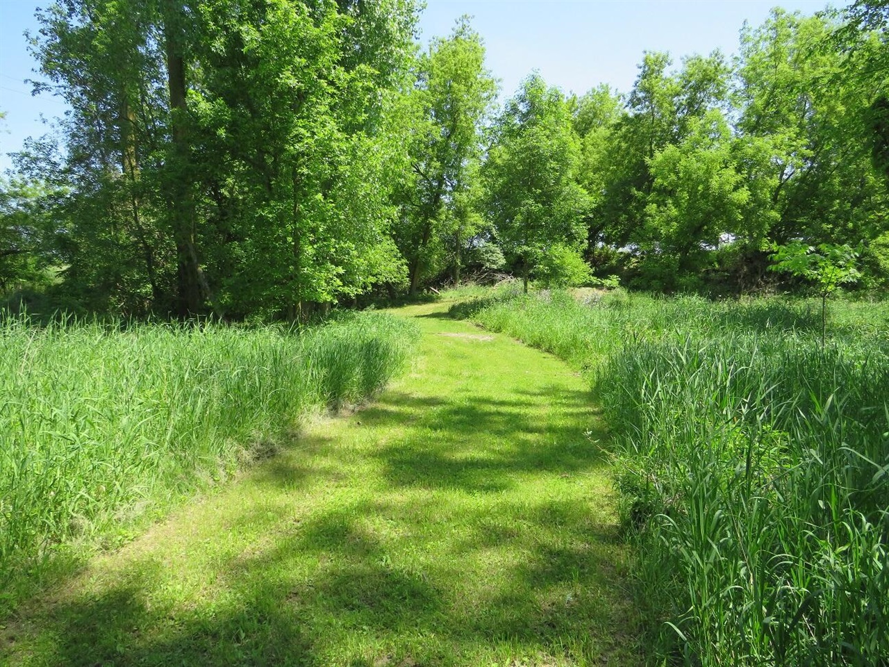 4670 Rescue Road Property Photo 89