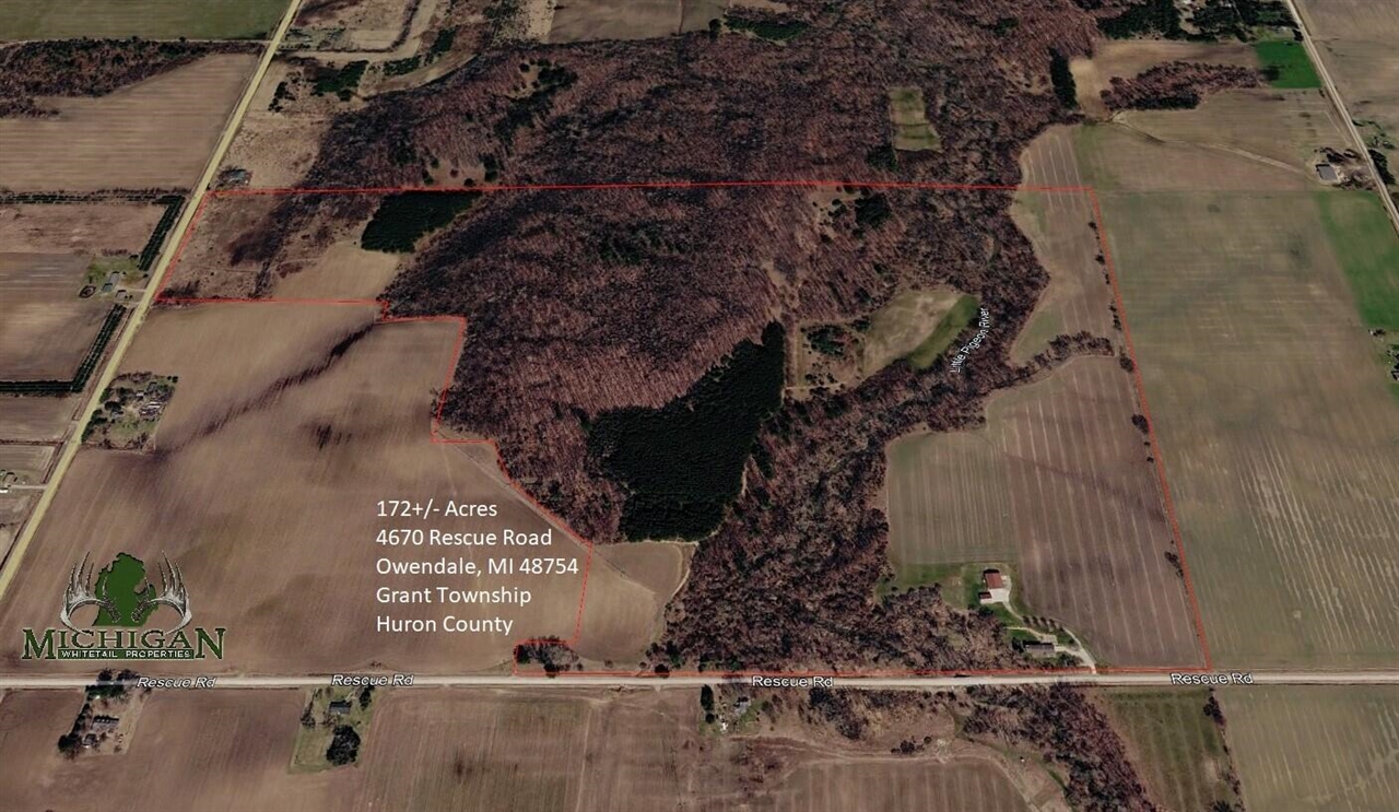 4670 Rescue Road Property Photo 96