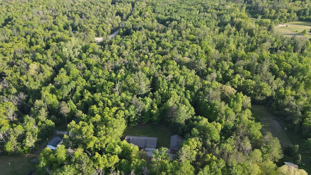 4335 Kings Corner Road Property Photo 28