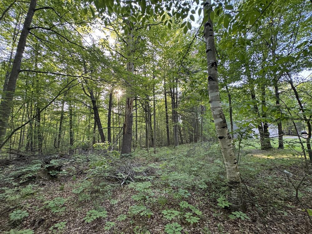 4335 Kings Corner Road Property Photo 38