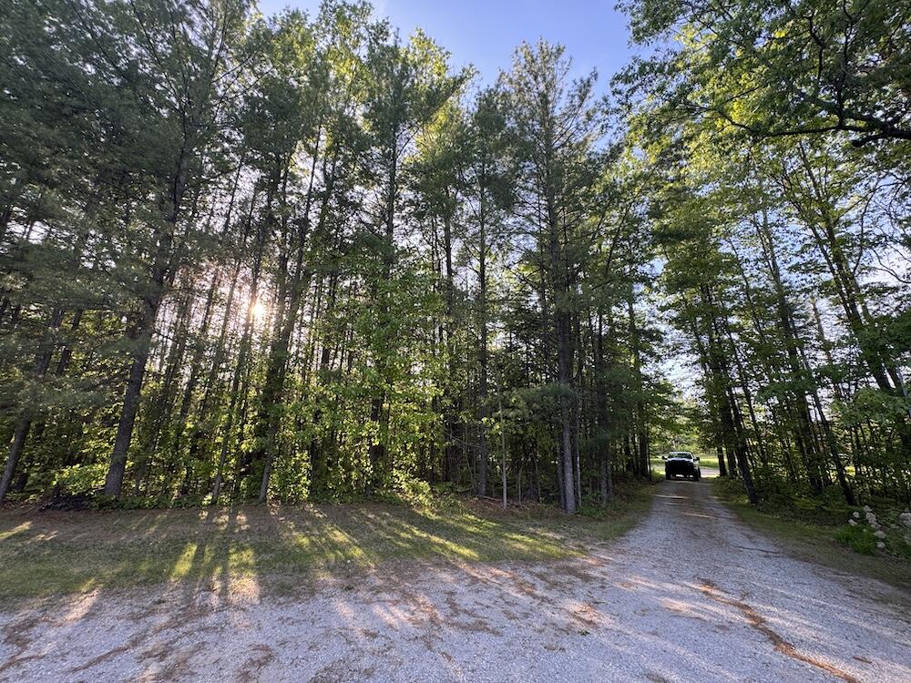4335 Kings Corner Road Property Photo 40